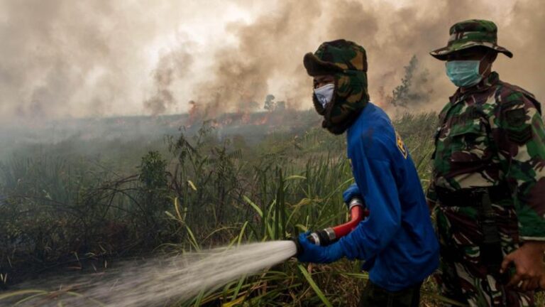 El Niño warming set to be'strongest in living memory', warns Met Office