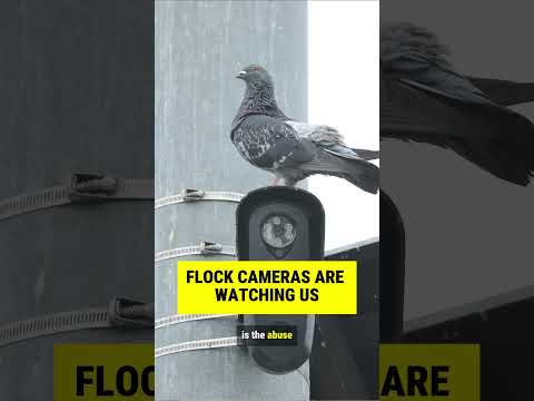 Flock cameras are watching us