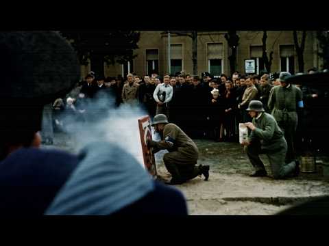 Hitler's Downfall: The Secret Letters & Documents Revealed
