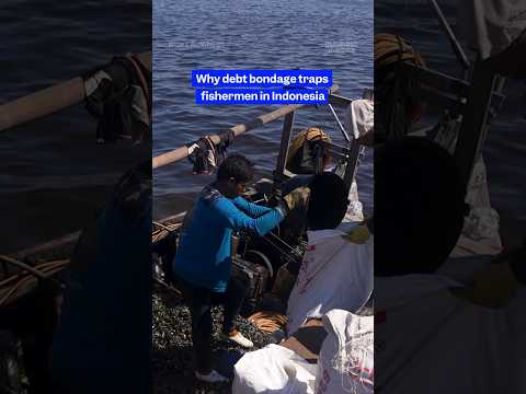 Inside the debt trap behind #Indonesia's #mussel industry. #dangerousjobs #riskybusiness