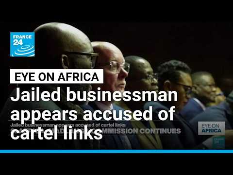 Jailed businessman appears accused of bribes and cartel links • FRANCE 24 English