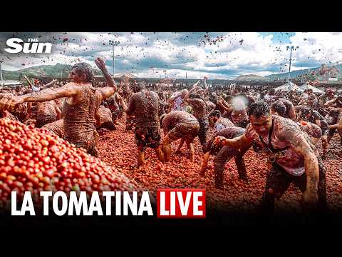 LIVE: Chaos in Buñol as the world's biggest food fight begins