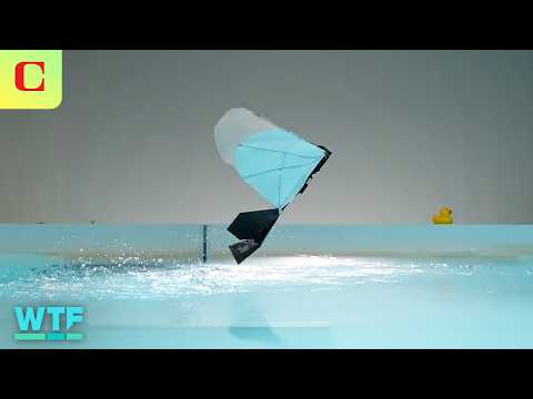 Meet the Flying, Swimming Robot Inspired by Aquatic Birds | What The Future