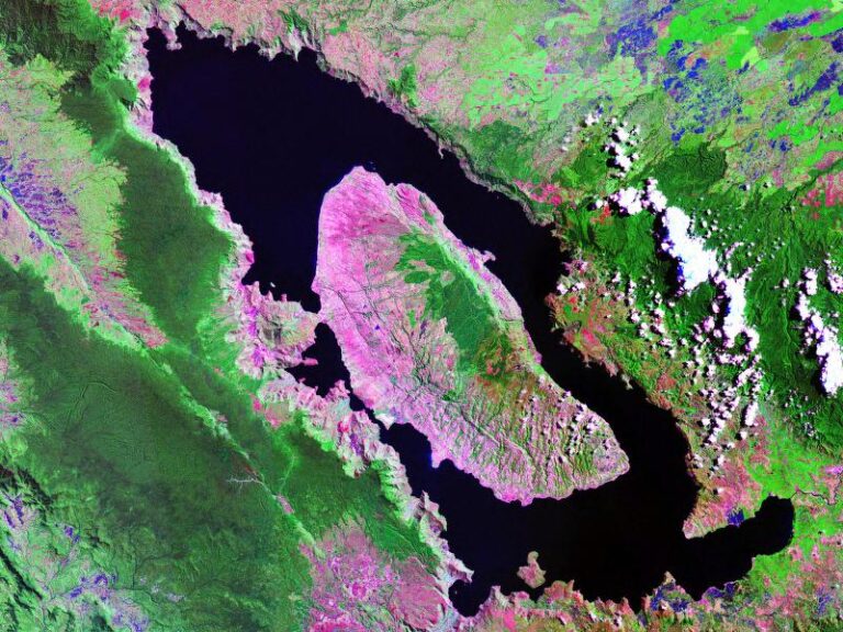 Mount Toba eruption doesn't seem like it could nearly kill our species