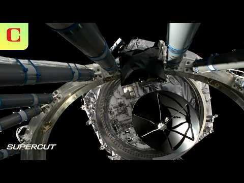 NASA Launches The Roman Space Telescope: Earth's New Orbiting Observatory