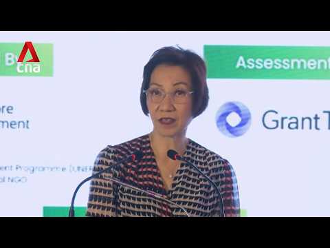 Singapore cannot be passive bystander in face of climate change: Grace Fu