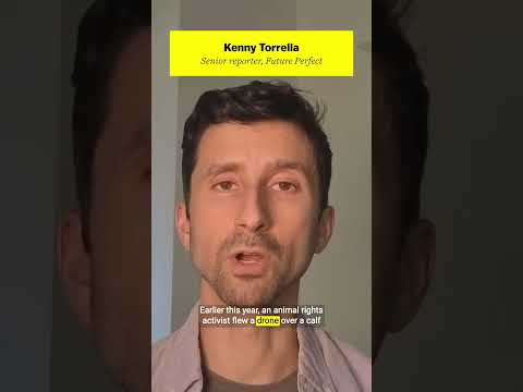 What happens if we stop documenting animal cruelty?
