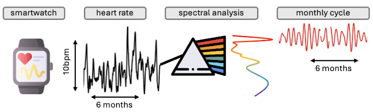 A graph describing the spectral method that arrives at each person's rhythm colour.