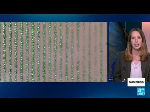 El Niño weather phenomenon set to deliver massive blow to global economy • FRANCE 24 English