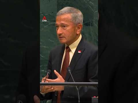 Genie already ‘out of the bottle’, too late to call for a halt to AI: Vivian Balakrishnan