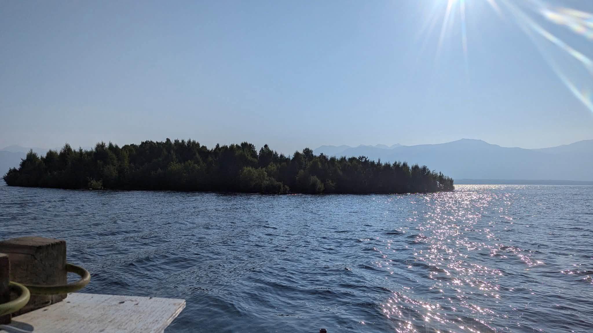 An image showing the small island that appeared in Williston Reservoir in British Columbia. It is a patch of heavily-forested land floating on top of clear, blue water that is illuminated by sunlight above. Behind it in the distance is the outline of a mountainous coastline.
