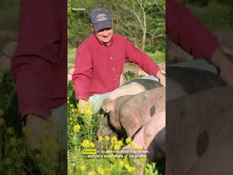 How Big Pork takes money from small farmers — then uses it to lobby against them