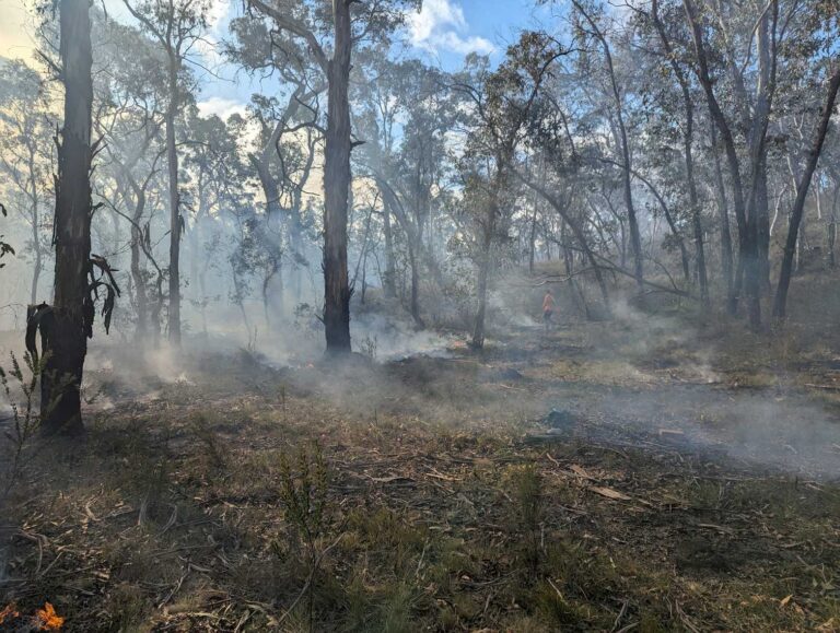 More than 2 million Indigenous people lived in Australia in 1788: new research