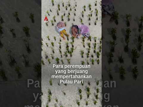Para perempuan yang berjuang mempertahankan Pulau Pari