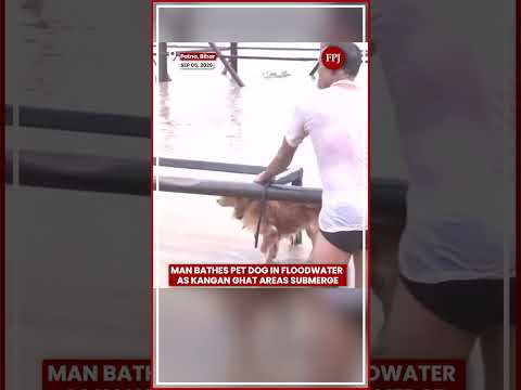 Patna Floods: Man Bathes Pet Dog In Floodwater As Kangan Ghat Areas Submerge | Bihar