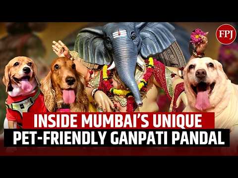 Pets Join Ganpati Aarti In Mumbai! Kandivali Pandal Gives Animals A Place Of Honour