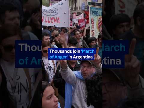 Protest against Milei's austerity measures | DW News