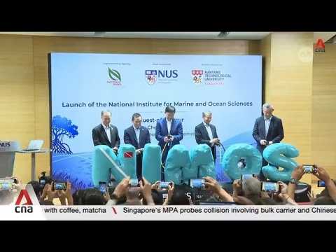 Singapore launches new S$60m institute to strengthen marine conservation, management