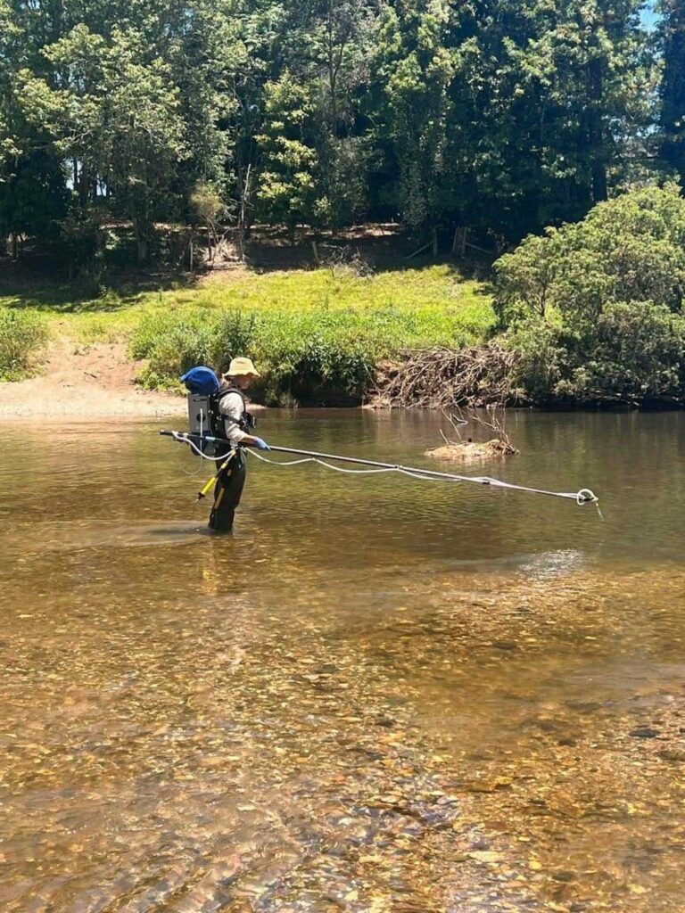 Two native turtles are vying to survive in a coastal Australian river. One doesn’t belong there