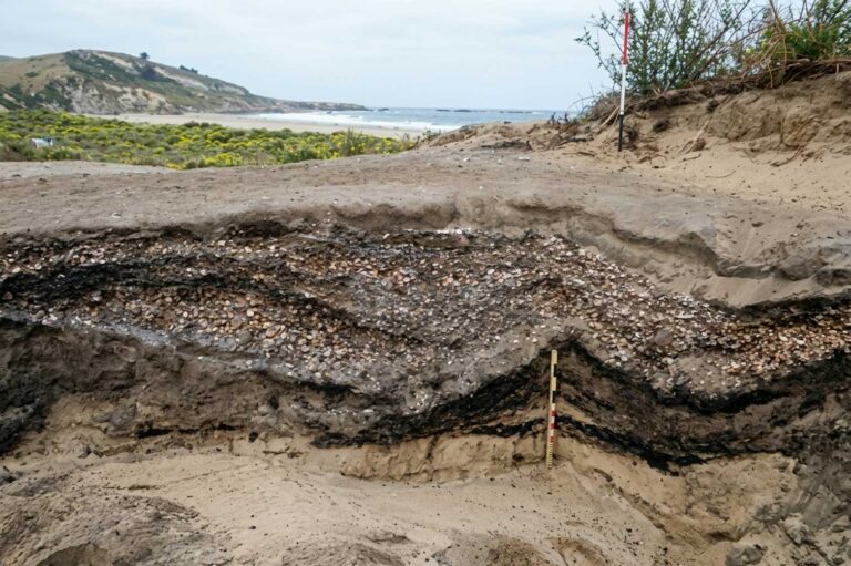 How did early Māori society develop? New research reveals a clearer timeline