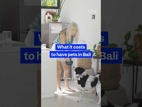 How much does it cost to care for pets in #Bali? #thepaycheck #costofliving #livingabroad