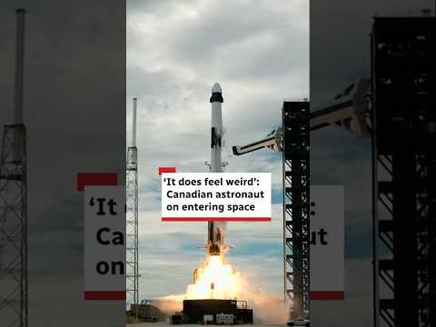 'It does feel weird': Canadian astronaut on entering space