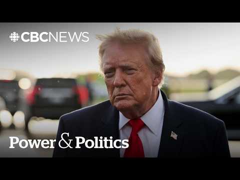 Tariff swaps show'anything is possible' with Trump: advisory committee member | Power & Politics