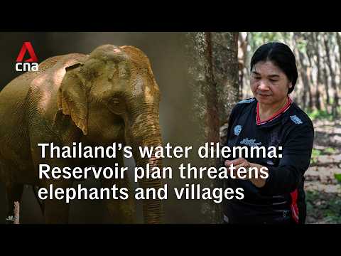 Thailand’s water dilemma: New reservoir threatens elephants and villages