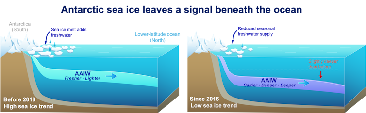 Diagram showing changes in Antarctic intermediate water.