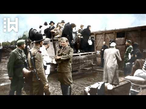 The Final Reckoning of the SS and Hungarian Nazi Collaborators