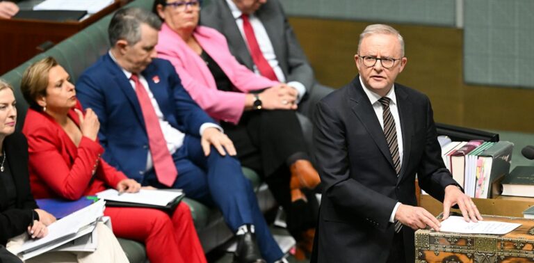 View from The Hill: Albanese puts cat among One Nation pigeons with staff offer